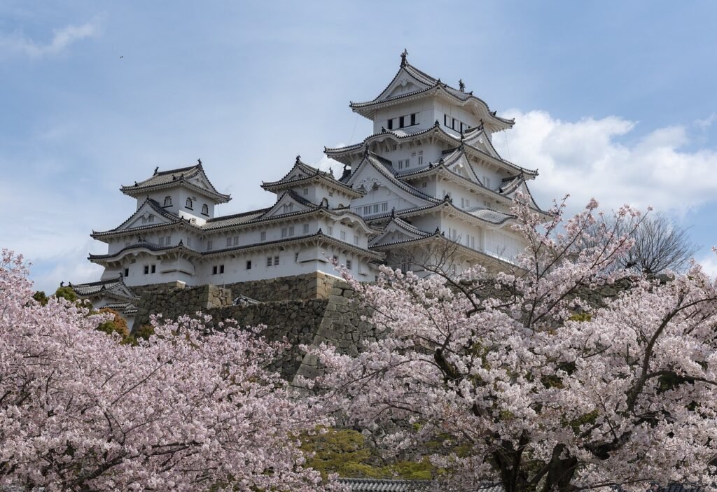 Himeji Castle with Sakura, Cherry Blossoms